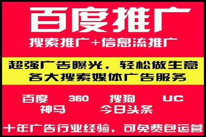 谷歌竞价广告的投放策略与成功案例分析